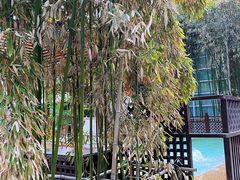 -春晖园度假酒店温泉