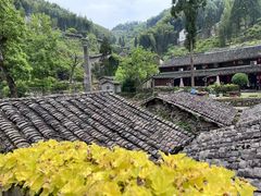 -MOJ coffee(瓯海泽雅水碓坑店)