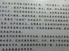 -九斤黄三黄鸡专卖店