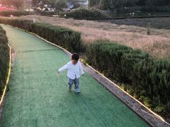 -大塘金香草谷