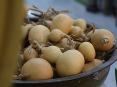 -苏州艺都古玩花鸟市场