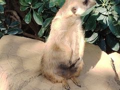-森波拉奇妙世界