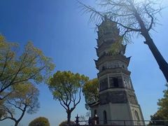 -苏州上方山国家森林公园