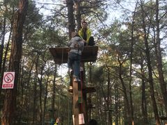 -铁山坪森林公园