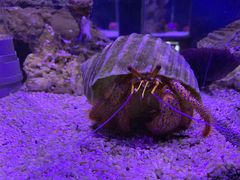 -太平洋海底世界