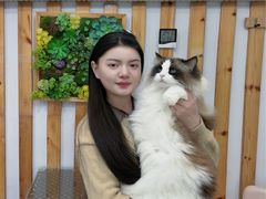 -青奢宠物·青奢猫舍