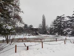 -国家植物园南园