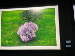 -罗红摄影艺术馆