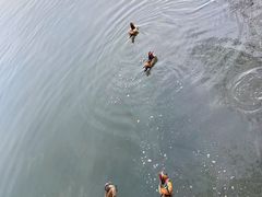 -北山街历史文化街区