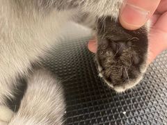 -comecome来吧宠物(奥克斯中心店)