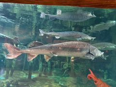 -华夏文旅海洋公园