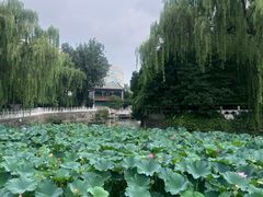 -北京积水潭医院(新街口院区)