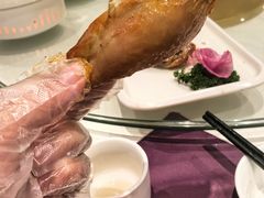 -凯鸽酒楼(大同振兴街店)