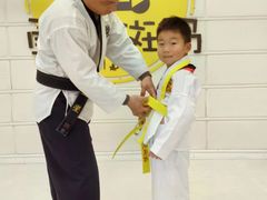-勇气斑马·巴西柔术&跆拳道(浦东三林店)