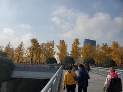 -百林公园-两江幸福广场