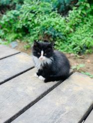 -大望京儿童游乐场