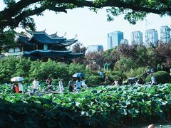-江心屿景区