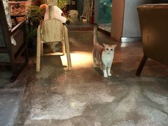 -咖法森林·咖啡  酒吧(天河店)