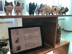 -iF摄影•全家福•证件照•形象照(南山店)