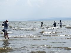 -呈贡滇池生态湿地公园