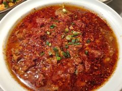 -辛香汇·锦里丨现炒川菜(和信宝龙店)