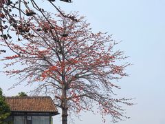 -喜洲吧·江畔老船厂·庭院餐厅(喜临院店)