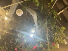 -仙踪林(惠润广场店)