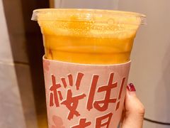 -伏小桃(明瓦廊店)