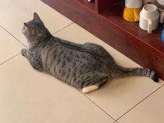 -树洞咖啡(科大店)