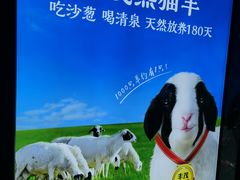 -丰茂烤串(公园店)