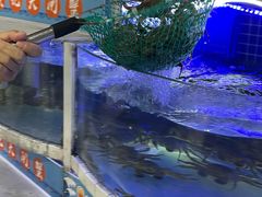 -黄记大闸蟹专卖店·活蟹·醉蟹