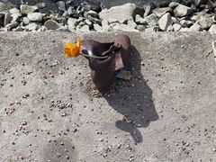 -多瑙河畔鞋履雕塑