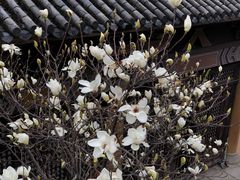 门面-阿鹏故事云南野生菌火锅(人民路店)