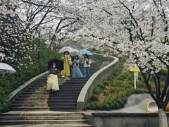 -杭州少年儿童公园