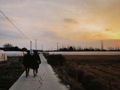 -小鱼草莓采摘园农家乐·小鱼餐厅