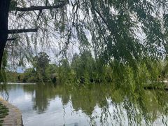 -黑龙潭公园