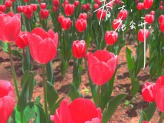 -西宁市人民公园(城西区)