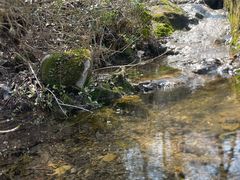-南山风景名胜区