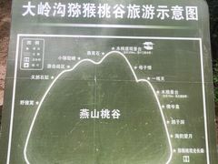 -大岭沟猕猴桃谷风景区