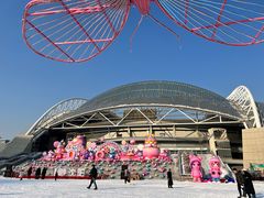 -沈阳奥体冰雪嘉年华