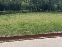 -The place那儿(新城国际店)