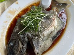 -老字号蛇口德记烧腊饭店·海鲜加工