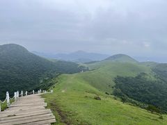 -大姆山草场