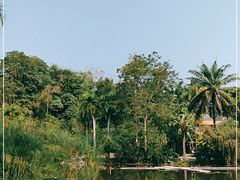 -中国科学院西双版纳热带植物园