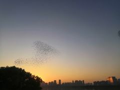 -天鹅湖体育公园