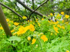 -长春公园(普阳街道)