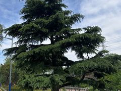-北京奥林匹克公园