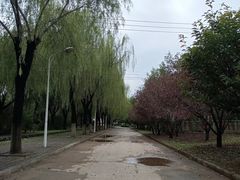 -青龙湖公园