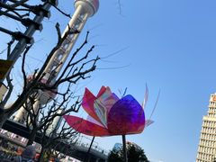 -陆家嘴空中步行连廊