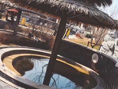 -大连金石滩绿发温泉假日酒店